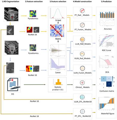 Prediction of lateral lymph node metastasis in rectal cancer patients based on MRI using clinical, deep transfer learning, radiomic, and fusion models